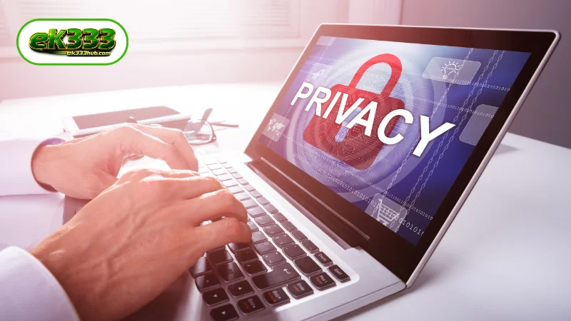 Member Responsibilities Within the EK333 Privacy Policy