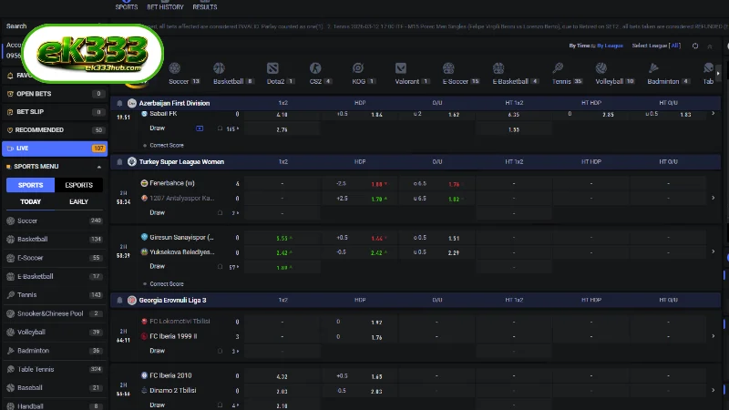 Navigating Value Within the EK333 Sports Portfolio