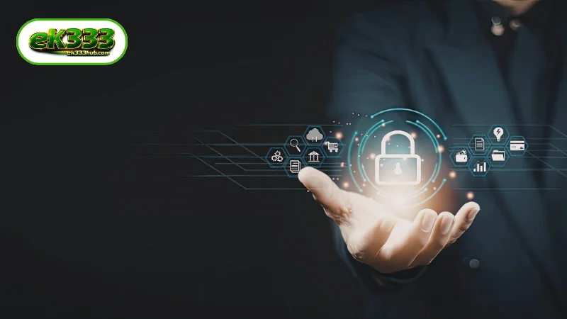 The Pillar Mandates of the EK333 Privacy Policy